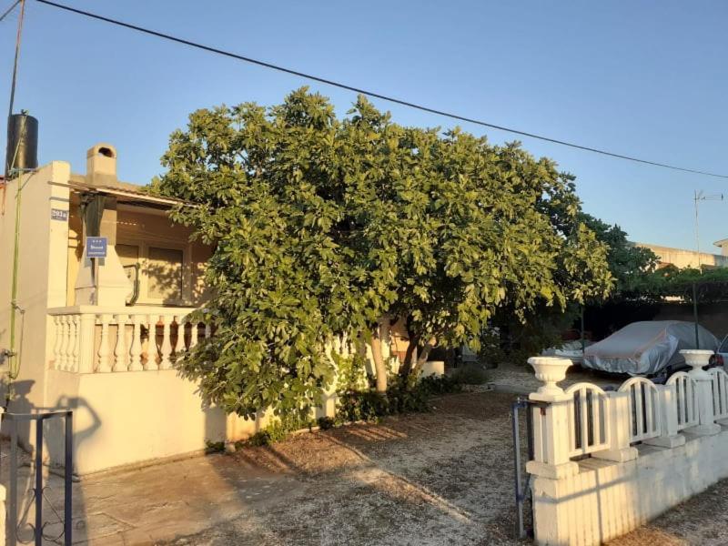 Srećko Apartman Rogoznica  Zewnętrze zdjęcie